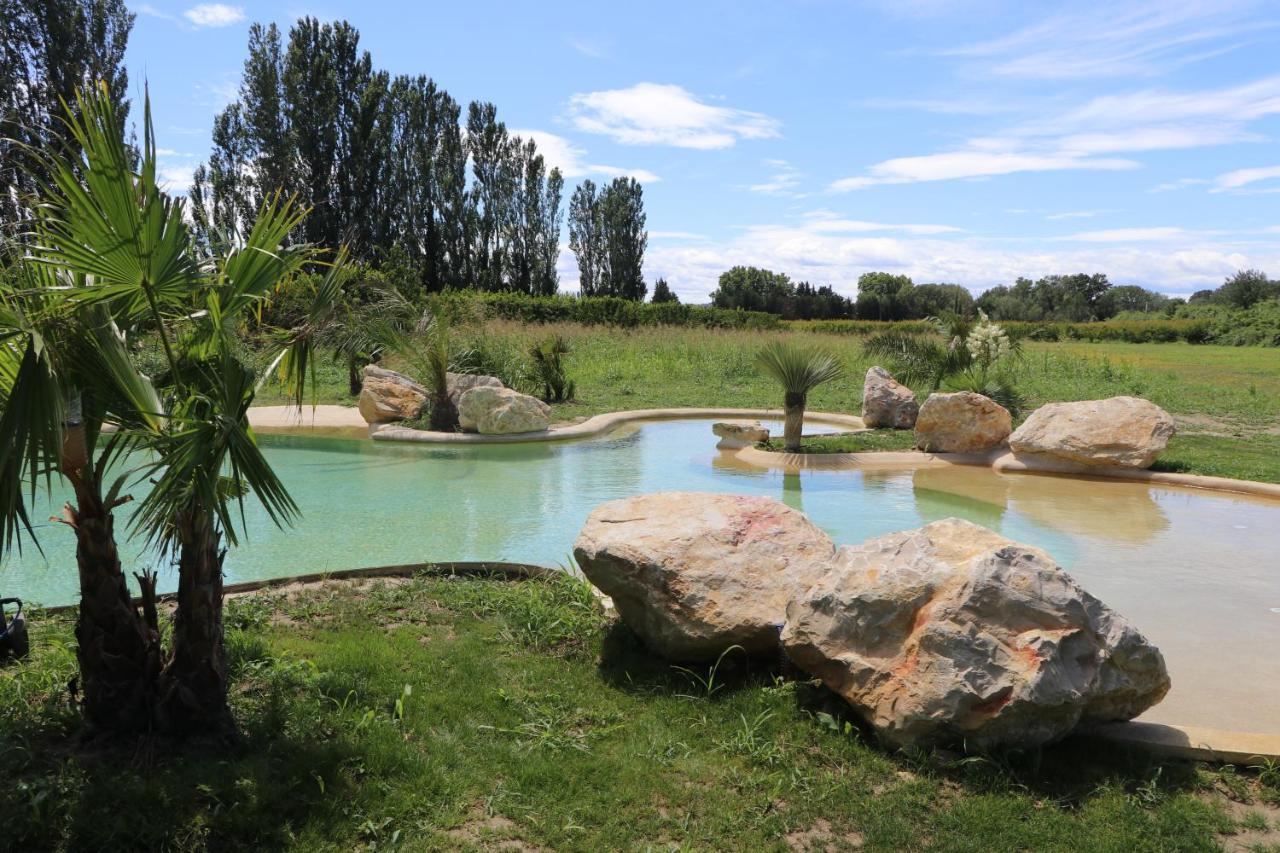 Le Mas Des Cerisiers Jacuzzi Et Sauna Inclus Pour Tous Les Logements Авиньон Экстерьер фото